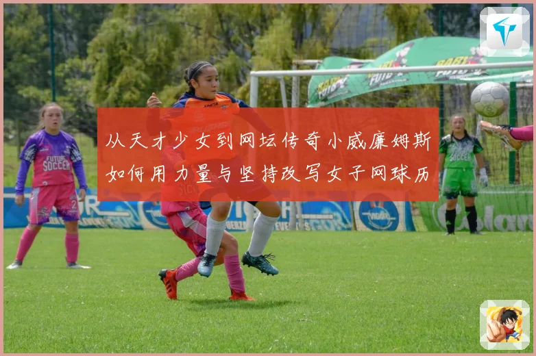 从天才少女到网坛传奇小威廉姆斯如何用力量与坚持改写女子网球历史