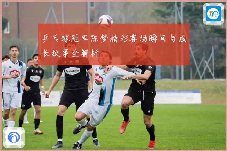 乒乓球冠军陈梦精彩赛场瞬间与成长故事全解析